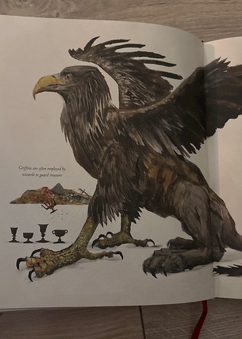 Fantastic Beasts ve Nerede Bulunurlar - J.K. Rowling - Görsel 6