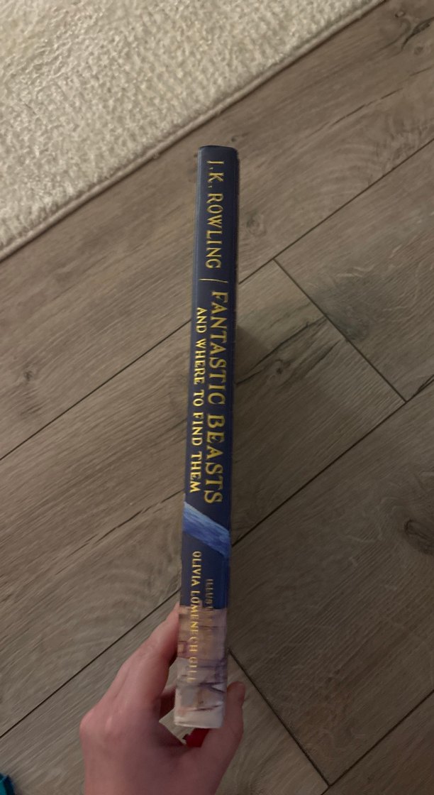 Fantastic Beasts ve Nerede Bulunurlar - J.K. Rowling - Görsel 2