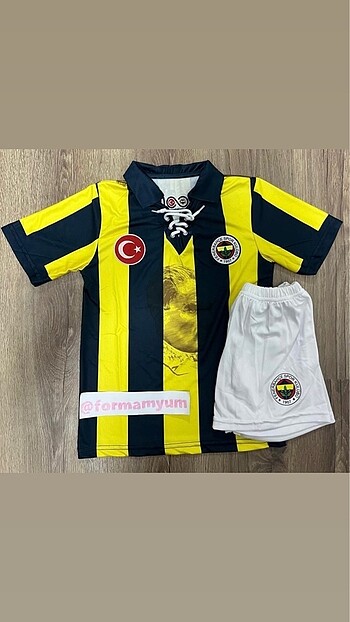 fenerbahçe 100. yıl çocuk forması