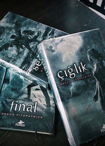 Hush hush serisi
