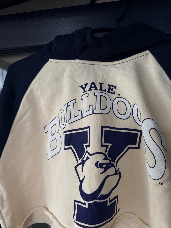 Kapüşonlu Baskılı Kadın Sweatshirt Özel Zara Yale Serisi - Görsel 3