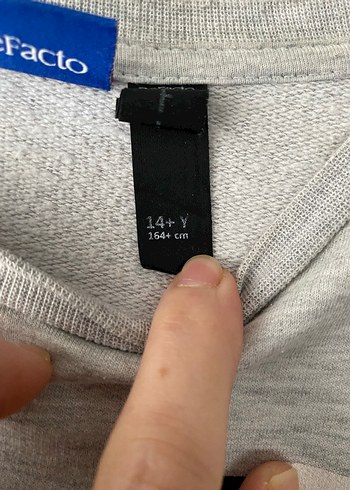 Gri Baskılı Uzun Kollu Sweatshirt - Görsel 4