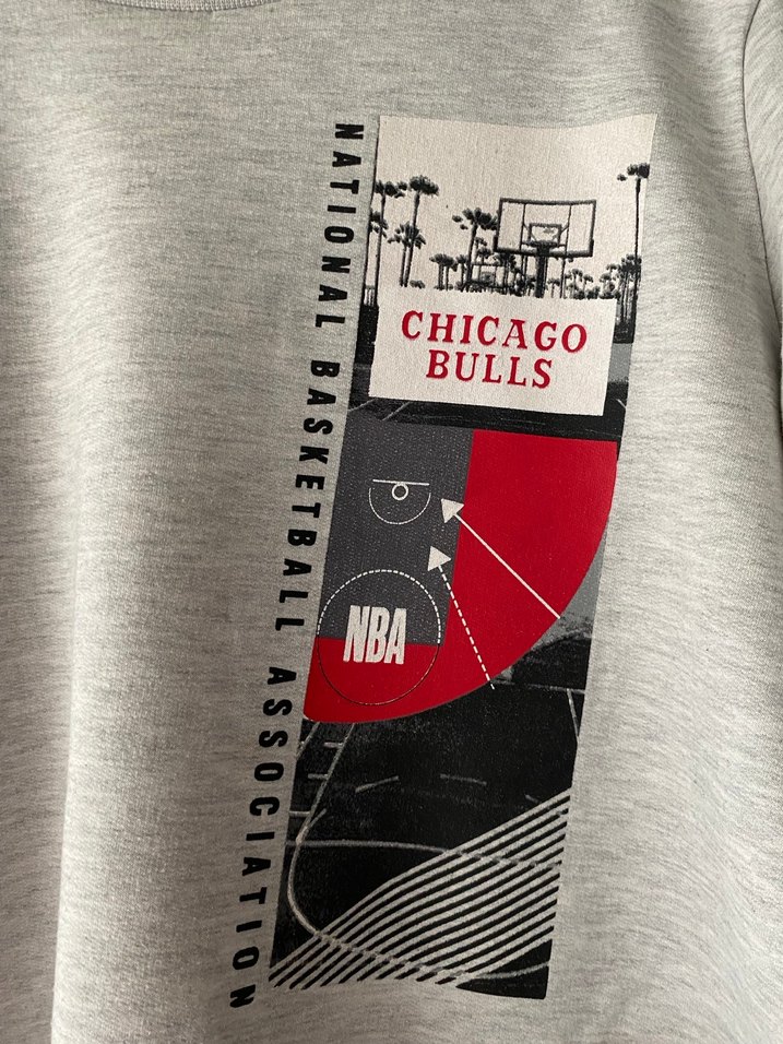 Gri Baskılı Uzun Kollu Sweatshirt - Görsel 2