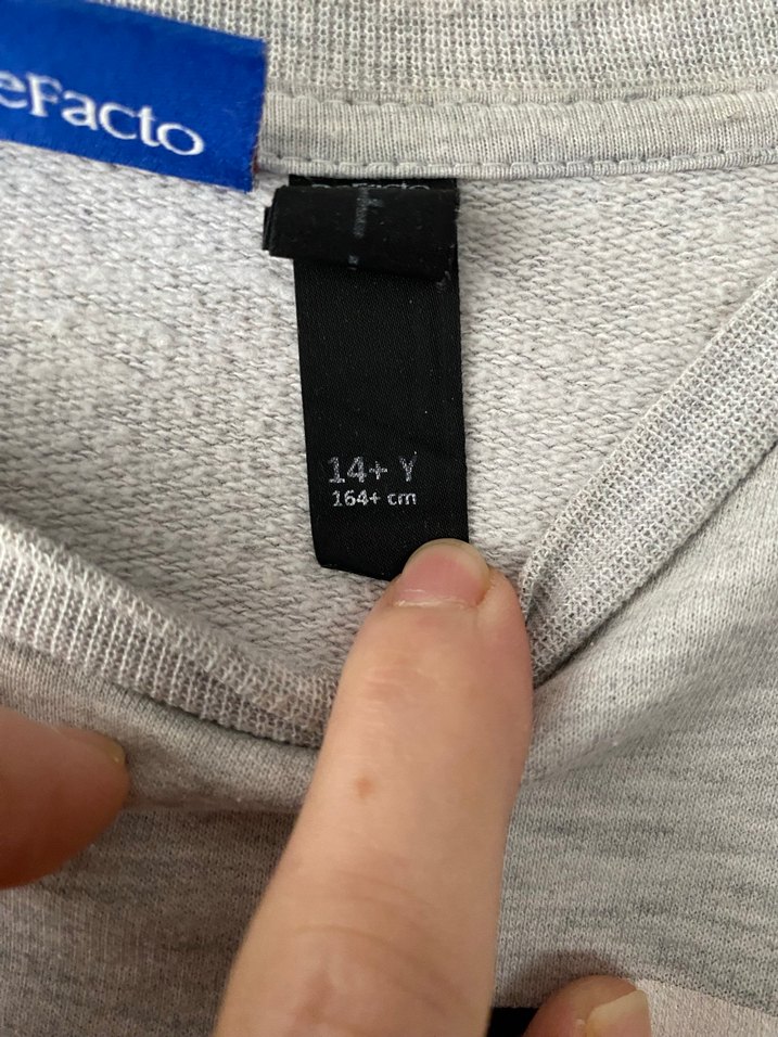 Gri Baskılı Uzun Kollu Sweatshirt - Görsel 4