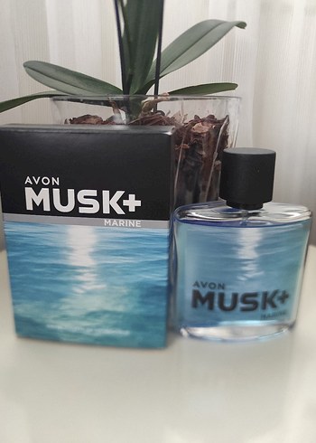 Avon Musk+ Marine Erkek Parfümü 75 ml