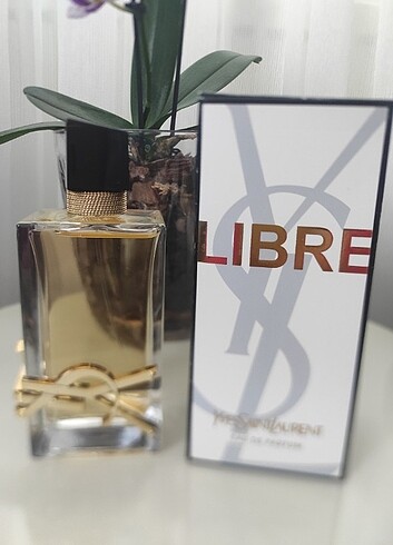 Libre