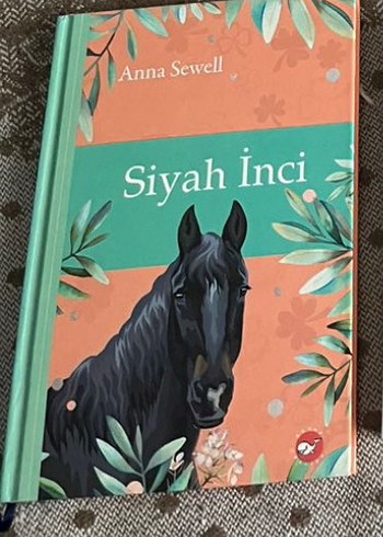 Kulaksız'ın Romanı Çocuk Kitabı - Görsel 2