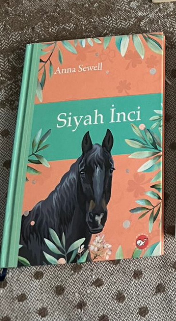 Kulaksız'ın Romanı Çocuk Kitabı - Görsel 2