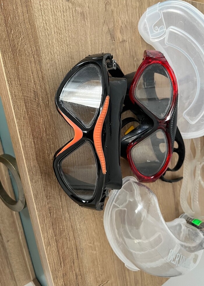 Bermuda deniz gözlüğü - Görsel 3