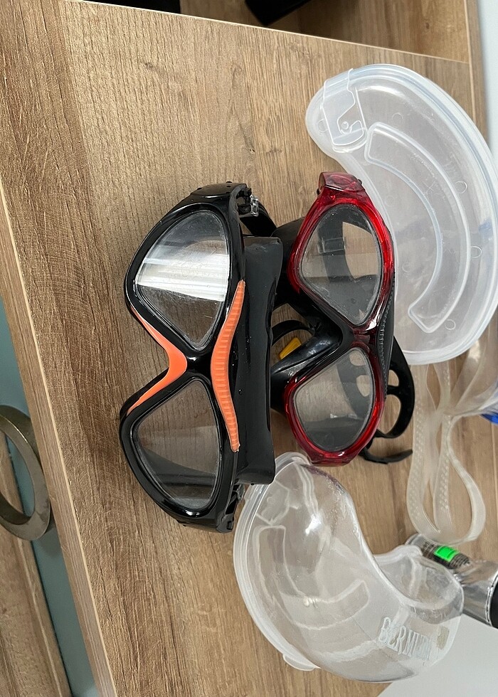 Bermuda deniz gözlüğü - Görsel 4