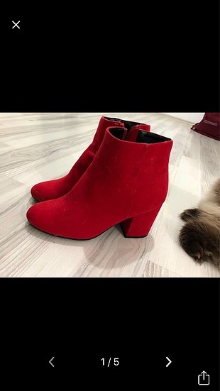 Kırmızı bot