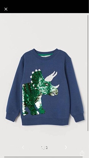 H&M Sweatshirt
