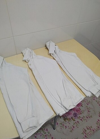 3 adet Lacoste 
