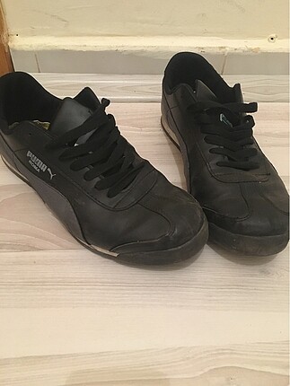 Puma erkek