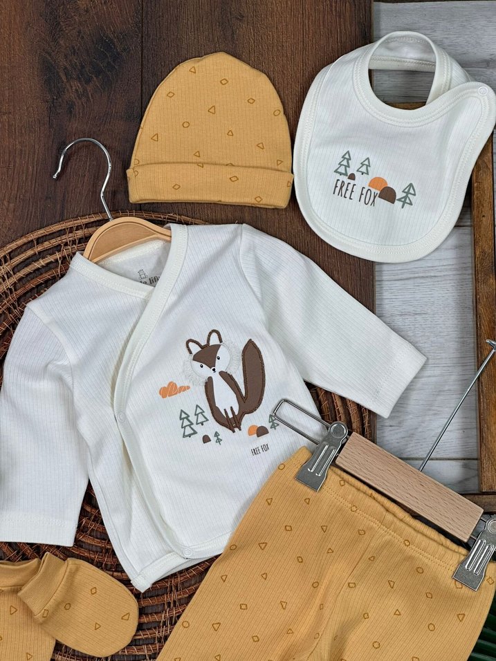 Erkek Bebek Hastane Çıkışı Yenidoğan Set Beşli - Görsel 2