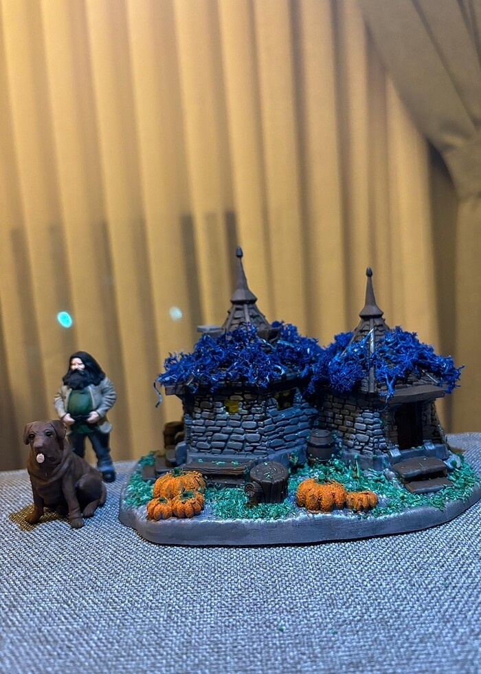 Harry Potter  HAGRİTS&DOG HOME Diorama 
 - Görsel 2
