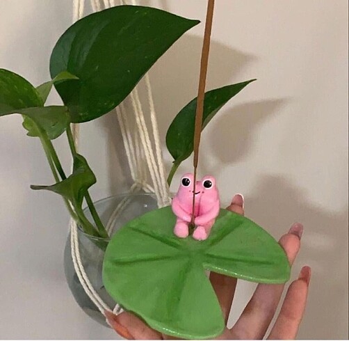 Pembe kurbağa tütsülük