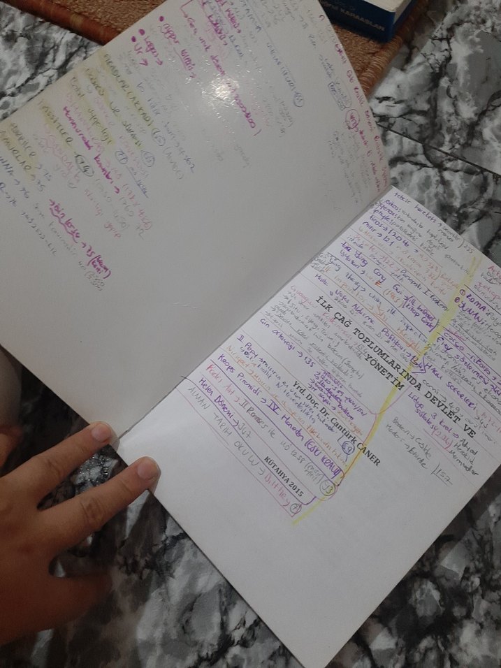 İlk Çağ Toplumlarında Devlet ve Yönetim Kitabı - Görsel 2