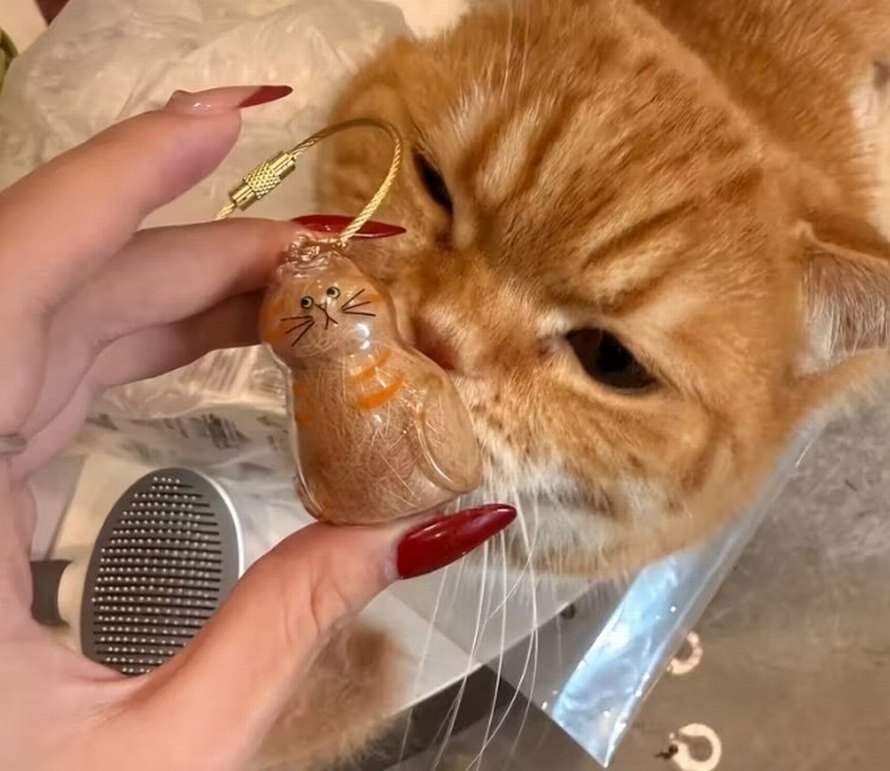 Parlak Camel Kedi Aksesuarı - Görsel 2