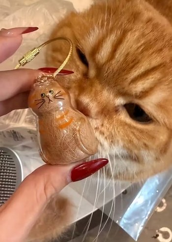 Parlak Camel Renkli Kedi Figürlü Anahtarlık - Görsel 3