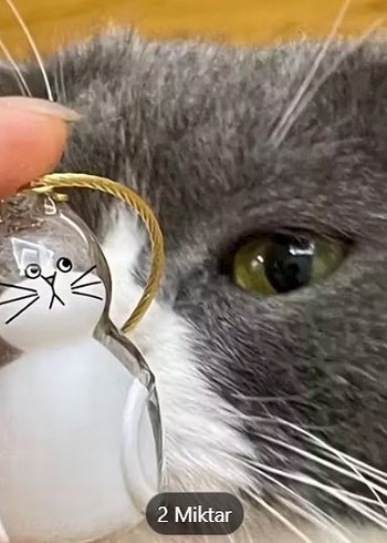 İÇİNE TÜY KONULAN KEDİ ANAHTARLIĞI - Görsel 6