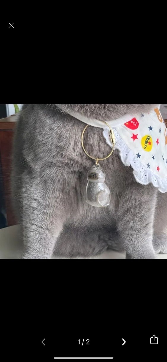 İÇİNE TÜY KONULAN KEDİ ANAHTARLIĞI - Görsel 2