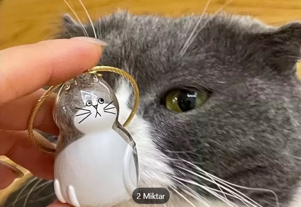 İÇİNE KEDİ TÜYÜ KONULAN ANAHTARLIK - Görsel 2