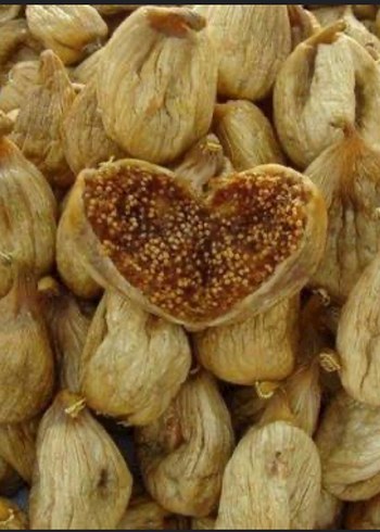 Bej Nakışlı Bohem Kadın Broş