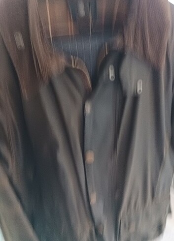l Beden Barbour