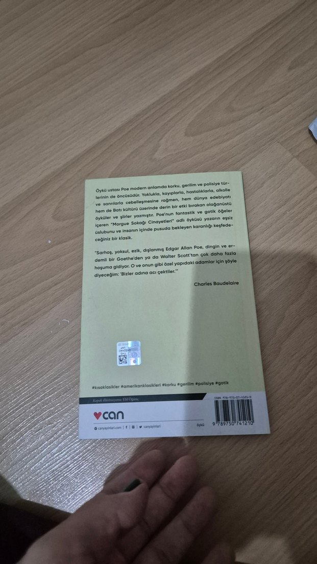 Edgar Allan Poe - Morgue Sokağı Cinayetleri - Görsel 2