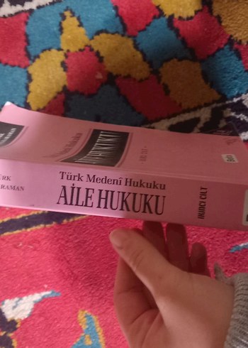 aile hukuku kitabı - Görsel 2