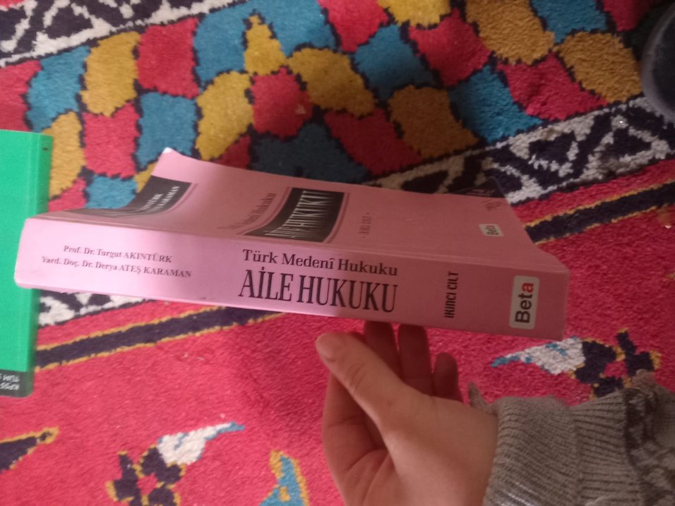 aile hukuku kitabı - Görsel 2