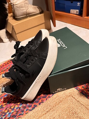 Lacoste Lacoste Sneaker