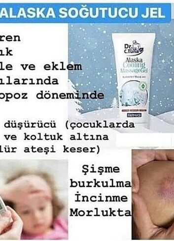 Alaska serinletici jel SATİLDİ - Görsel 2