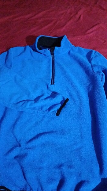 Zara Polar