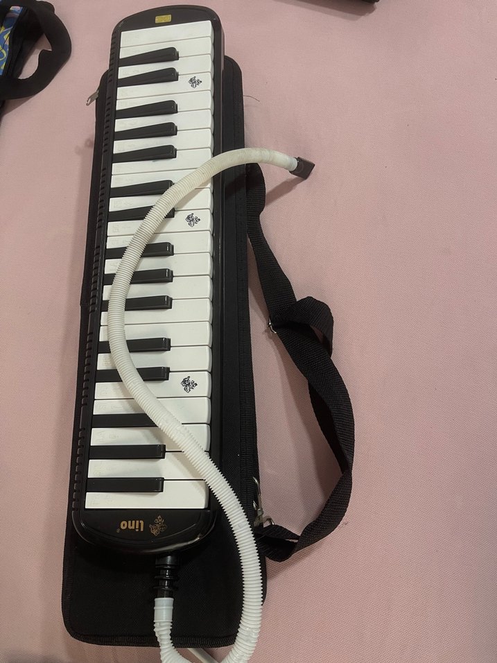 Limo melodika - Görsel 2