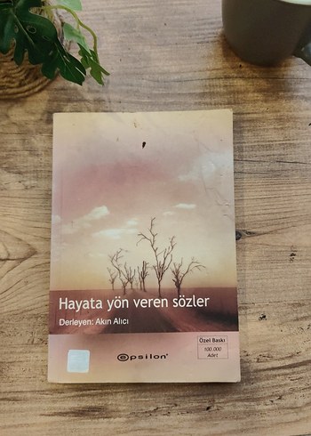 Hayata Yön Veren Sözler - Akın Alıcı
