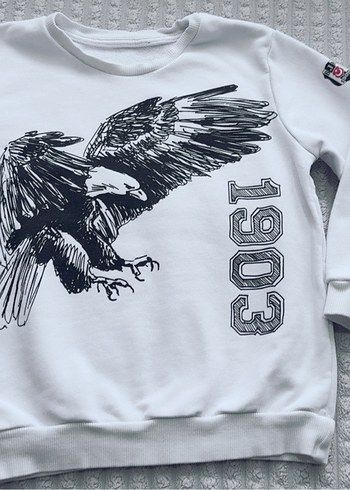 3 adet Erkek Çocuk Gri Baskılı Sweatshirt - Beşiktaş temalı - Görsel 4