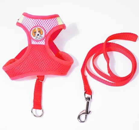 küçük ırk köpek göğüs taşması