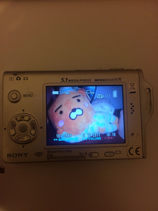Diğer Sony fotograf makinesi
