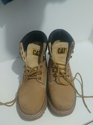 Cat bot