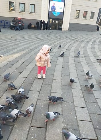 LC Waikiki Çocuk mont birkaç kez giyildi çok iyi durumda