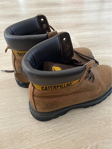 38 Beden Cat bot