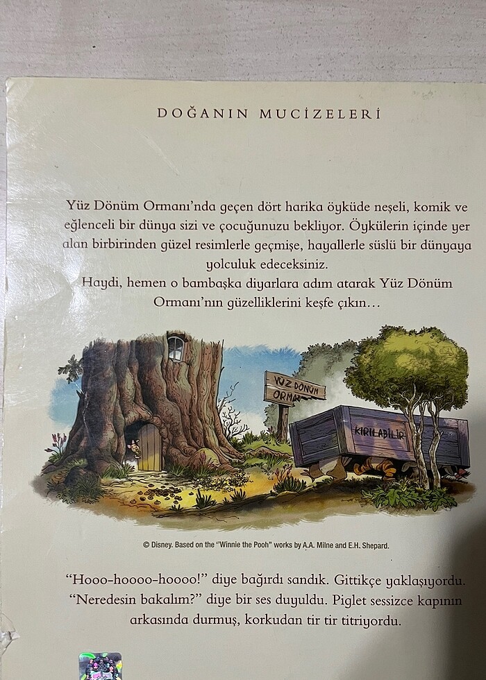 Hikaye kitabı - Görsel 2