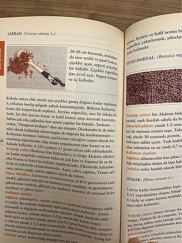 Kitap temiz - Görsel 5