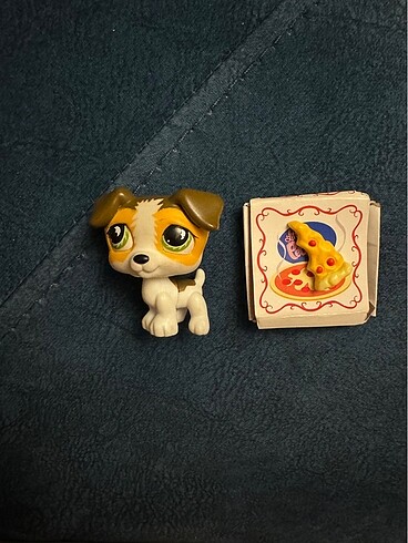 Beden İkiz Jack Russel Miniş köpek 803