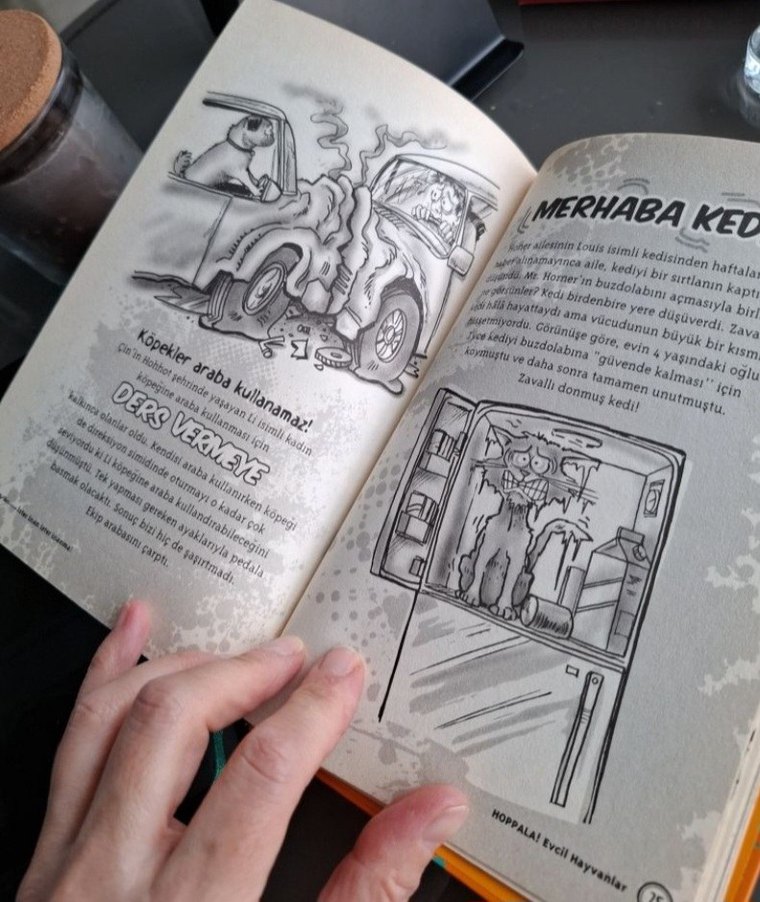 Ripley'den İster İnan İster İnanma! Hoppala - Görsel 5