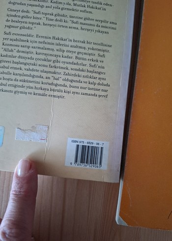 AKTUEL Tasavvuf ve Sufizm Kitabı
2 kitap bir arada - Görsel 7