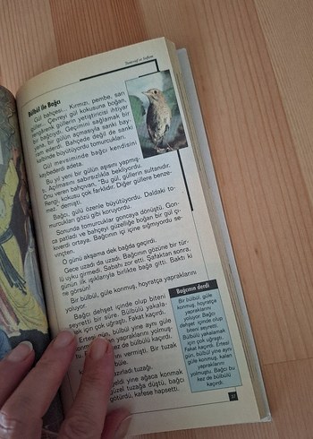 AKTUEL Tasavvuf ve Sufizm Kitabı
2 kitap bir arada - Görsel 8