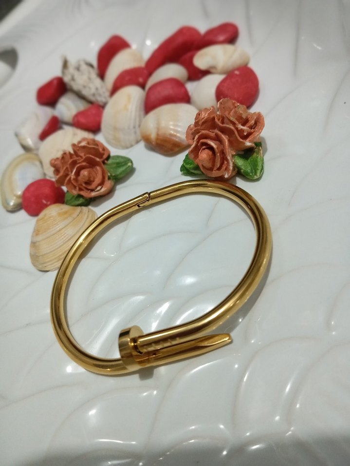 Altın Renk çivi çelik Kadın Bileklik - Görsel 4